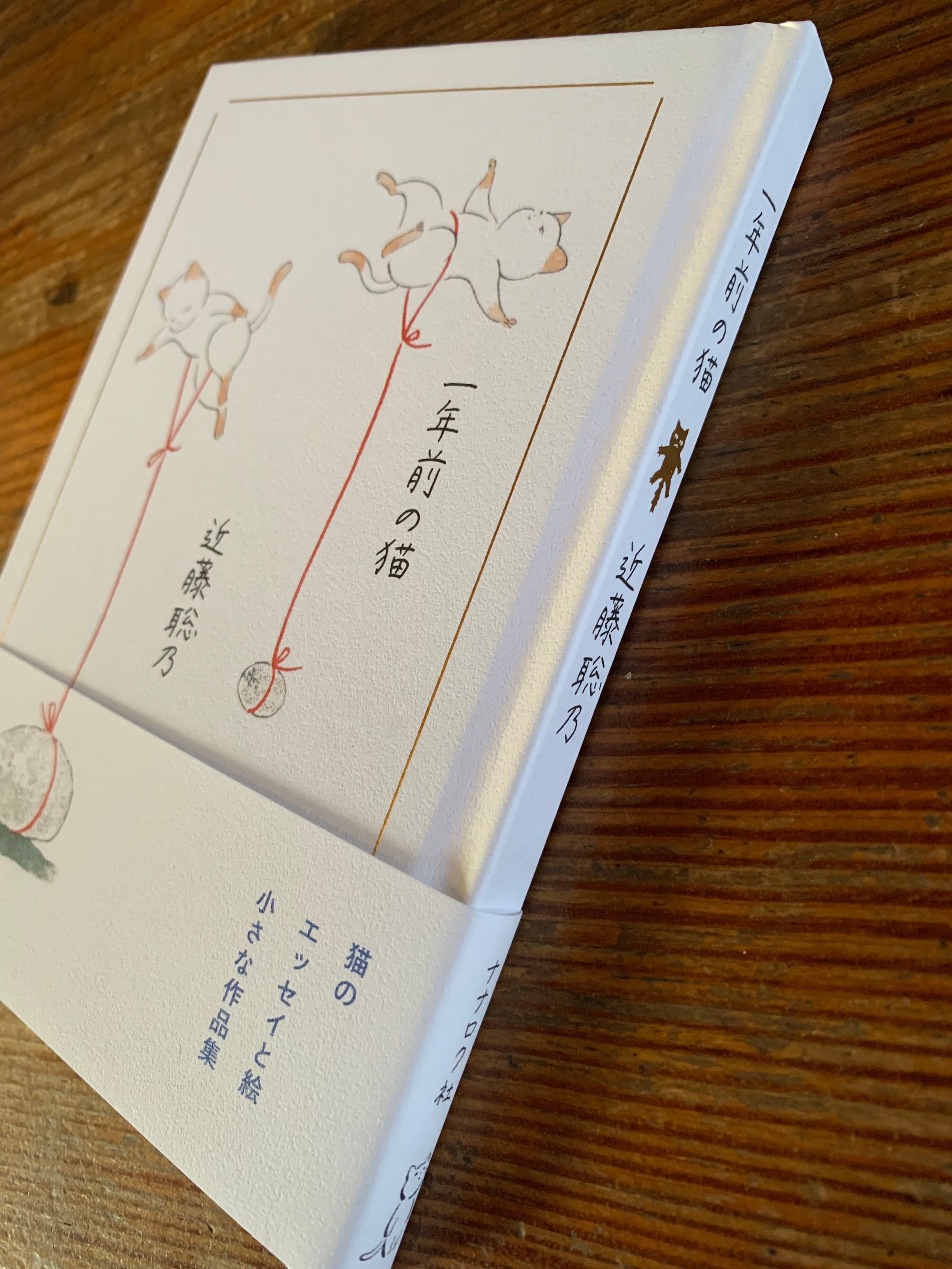 近藤聡乃 直筆イラストサイン本「いつものはなし」