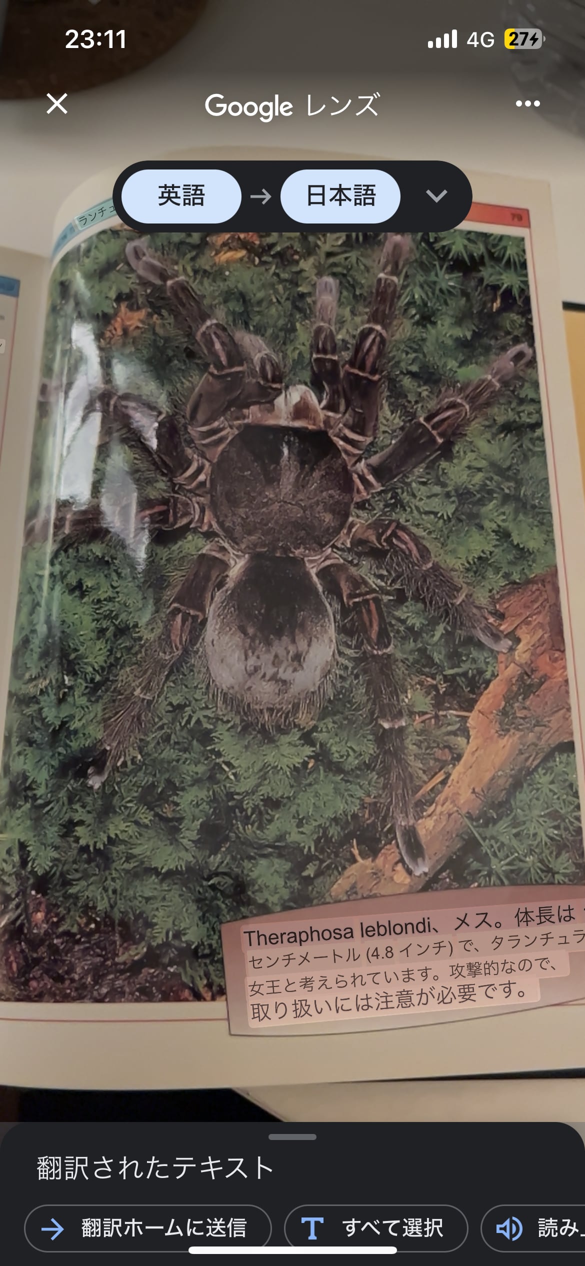 タランチュラの飼育書図鑑 ムカデセンチピードサソリモドキ蜘蛛ツリー