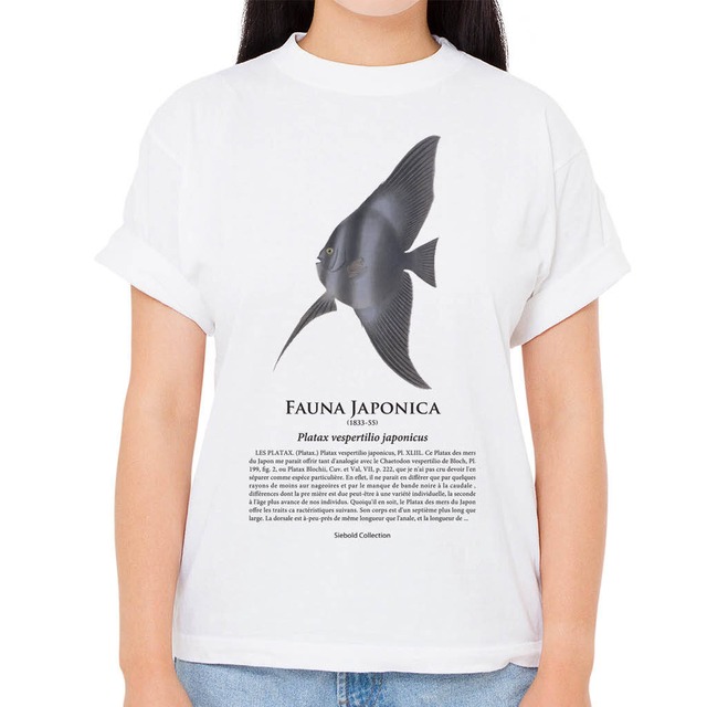 【ツバメウオ】シーボルトコレクション魚譜Tシャツ（高解像・昇華プリント）