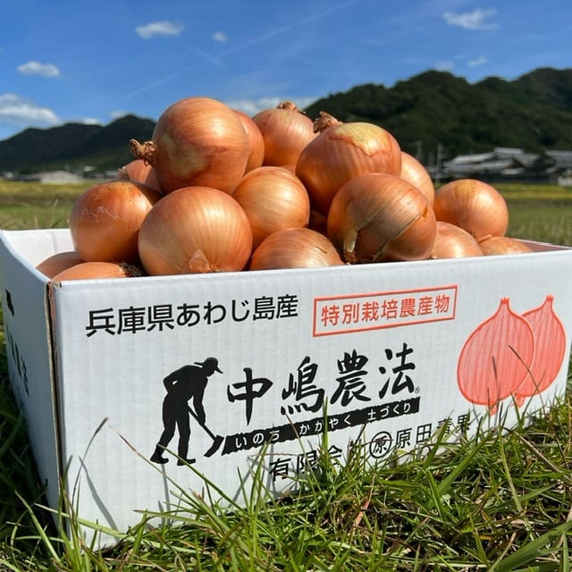 甘一番 10kg 淡路島玉ねぎ 送料・税込み | 原田兄弟の一番玉ねぎ