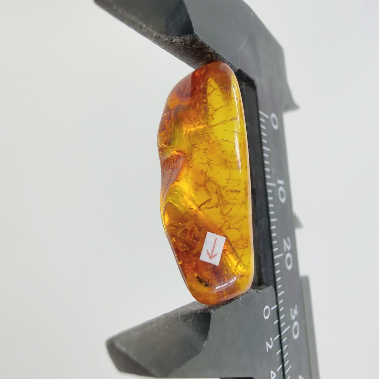 虫入り 化石 虫入り琥珀 琥珀 こはく コハク in Amber）｜化石販売