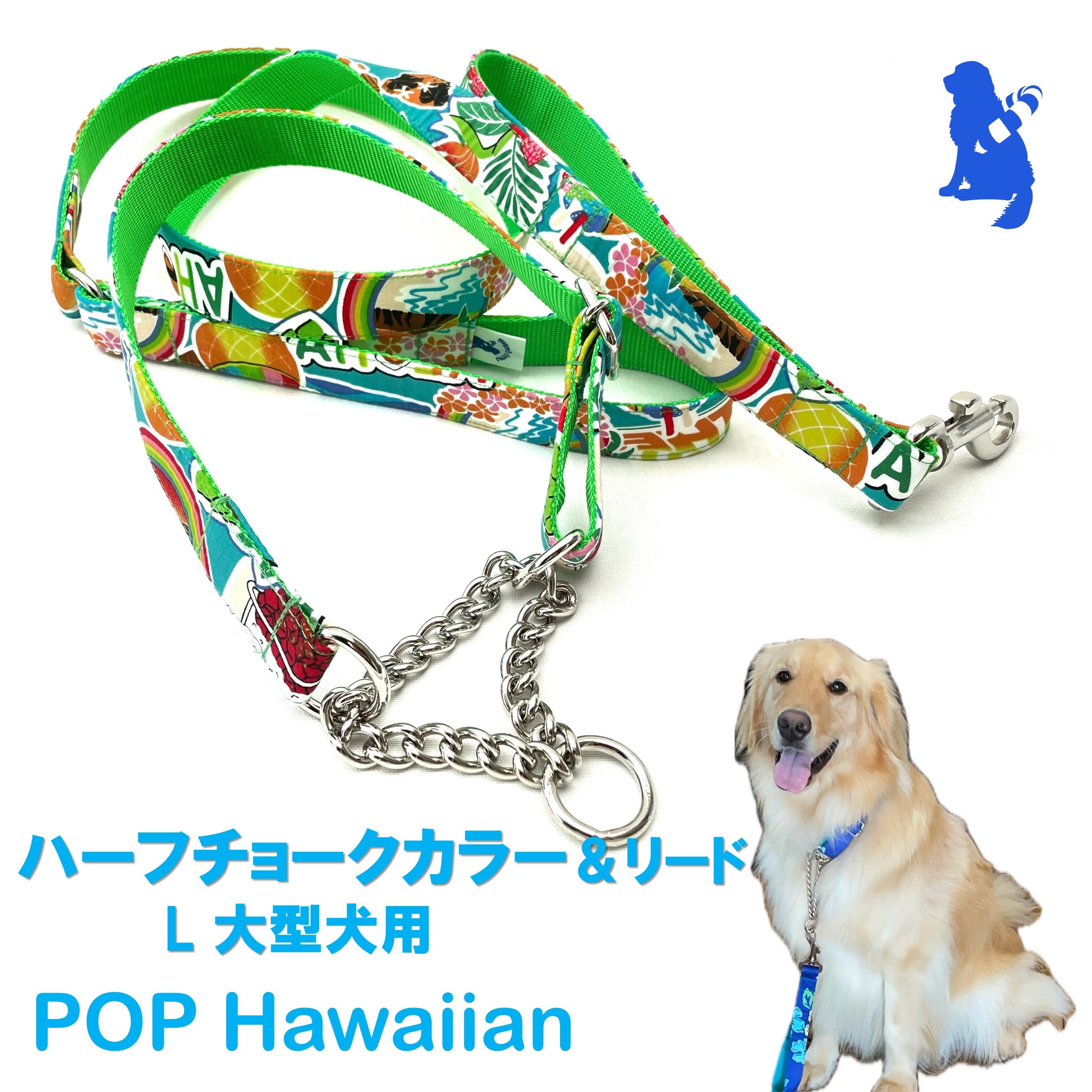 大型犬用リード、ハーフチョーク手作りセット