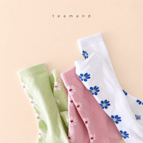 team［取寄］Alice socks set (3ea)