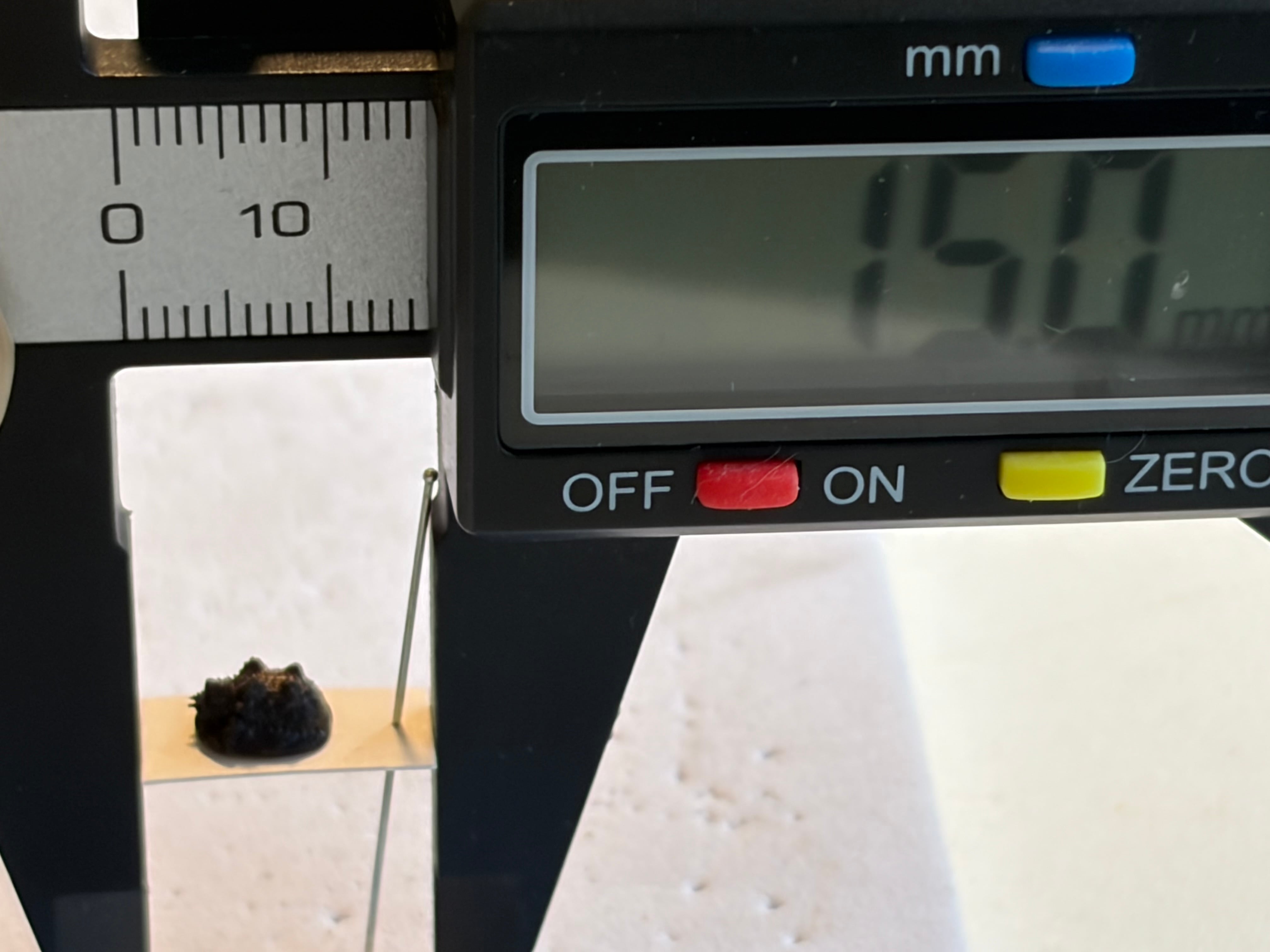 6mm】鉱物みたいなコブスジツノゴミムシダマシ 標本ゾウムシカミキリ