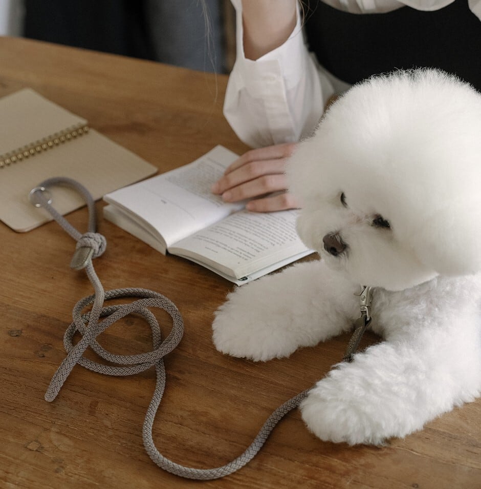 即納【stroll】Rope Leash Slim (Ash Gray)