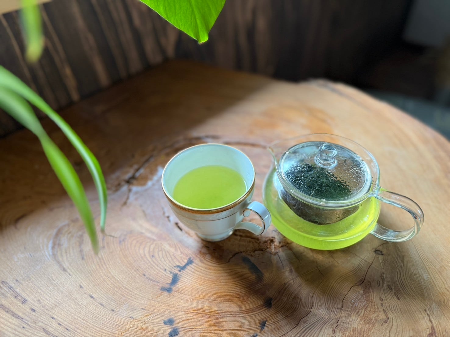 星の茶】大ちゃん農園の星野茶 100g | ほしのウズメ公式ショップ