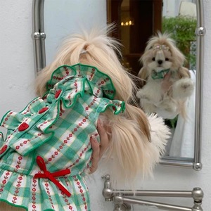 【PET】格子柄フリル付きワンピース