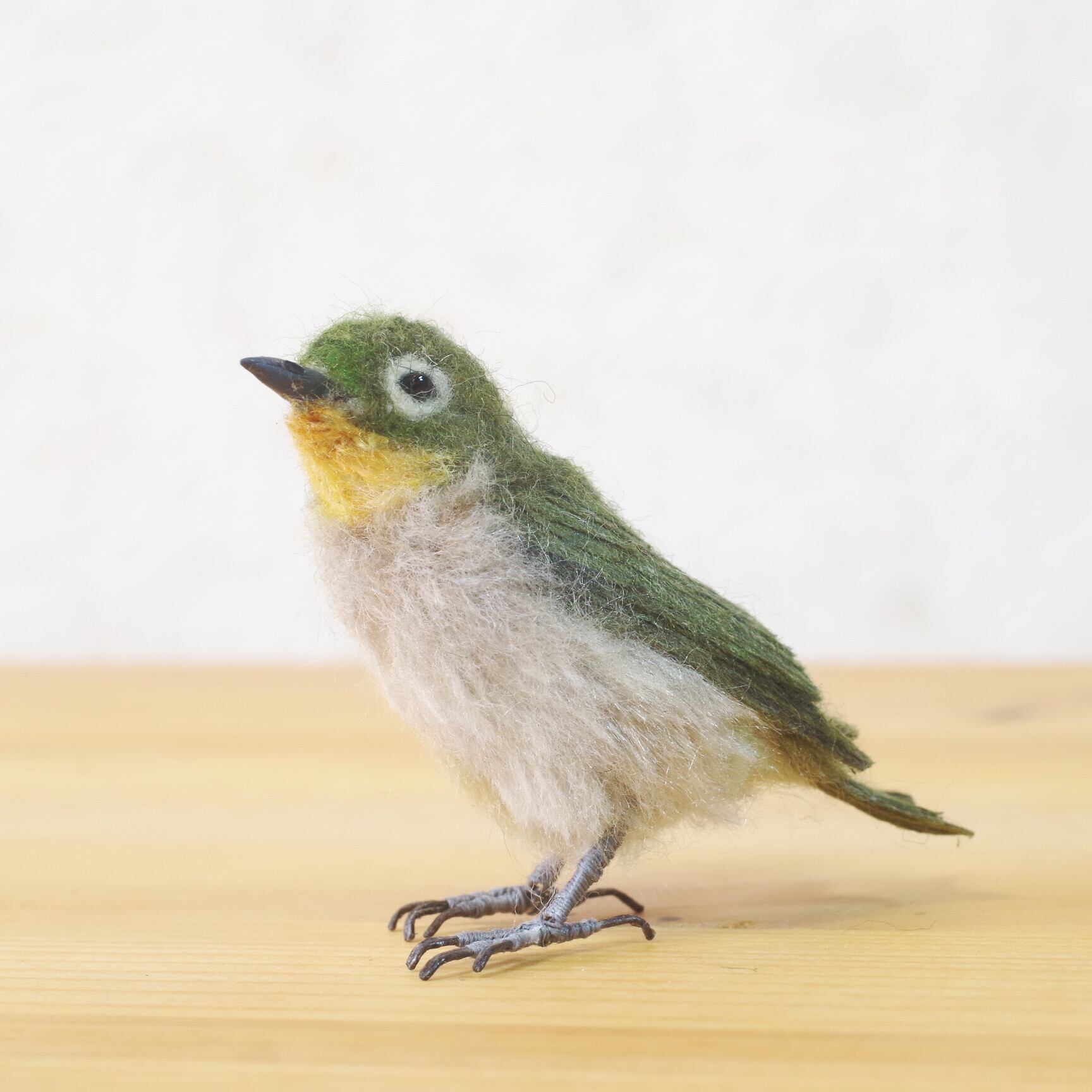 森羊のクーシャ メジロ
