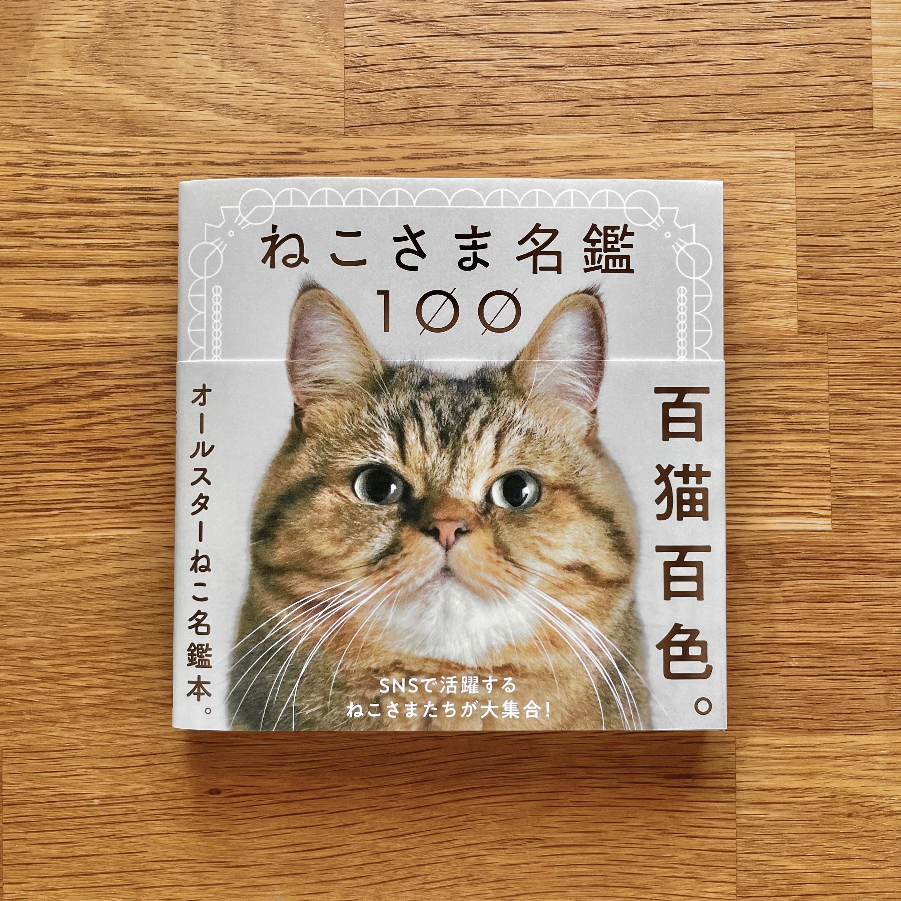 完売 】書籍┆ねこさま名鑑100 猫 フォトブック 写真集 かわいい本