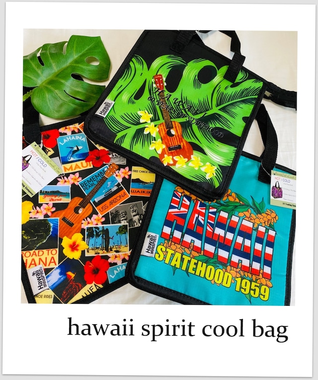 ハワイ　クールバック　『Hawaii spirit 』