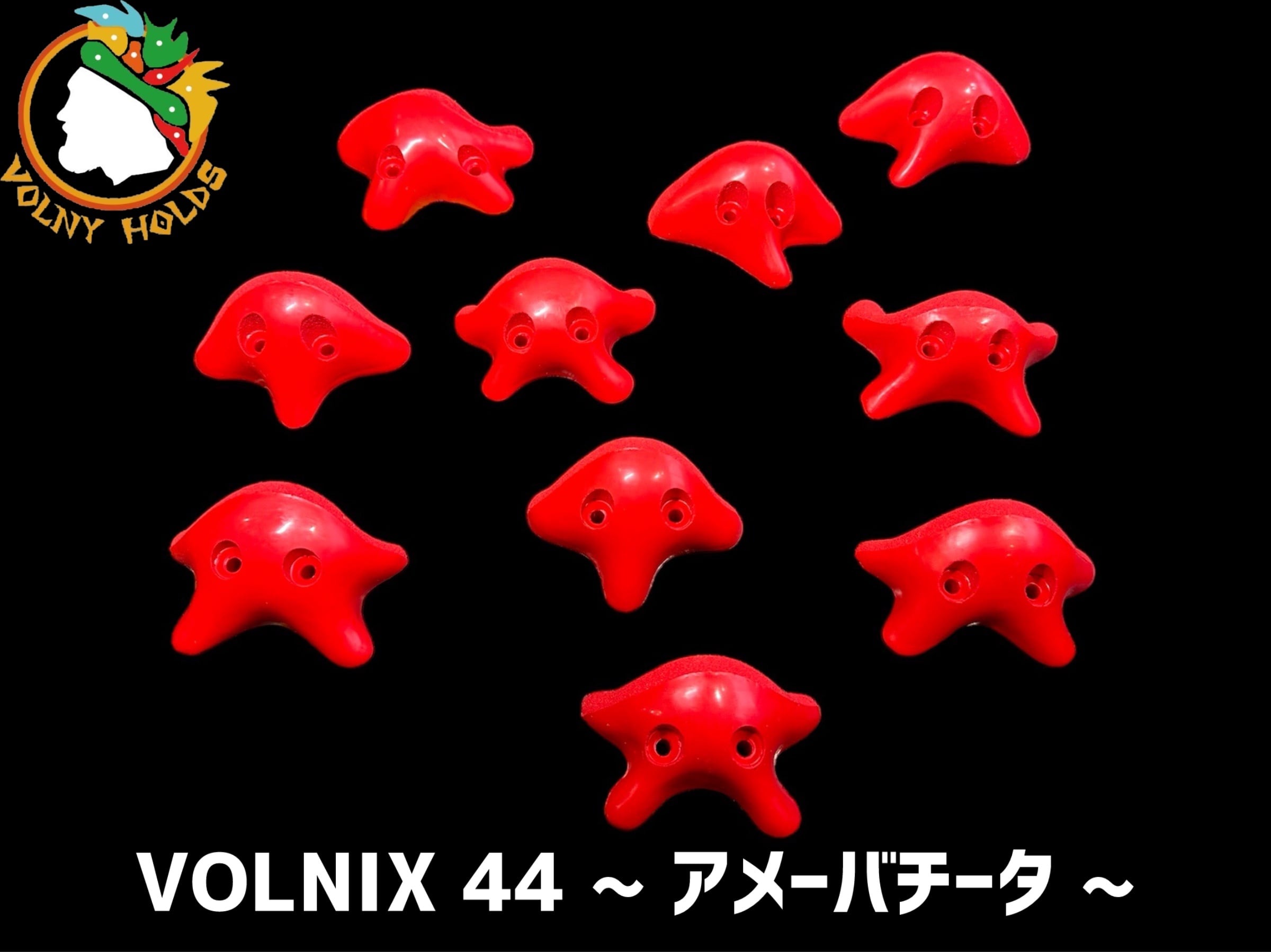 チータ クライミングホールド 【公式通販】