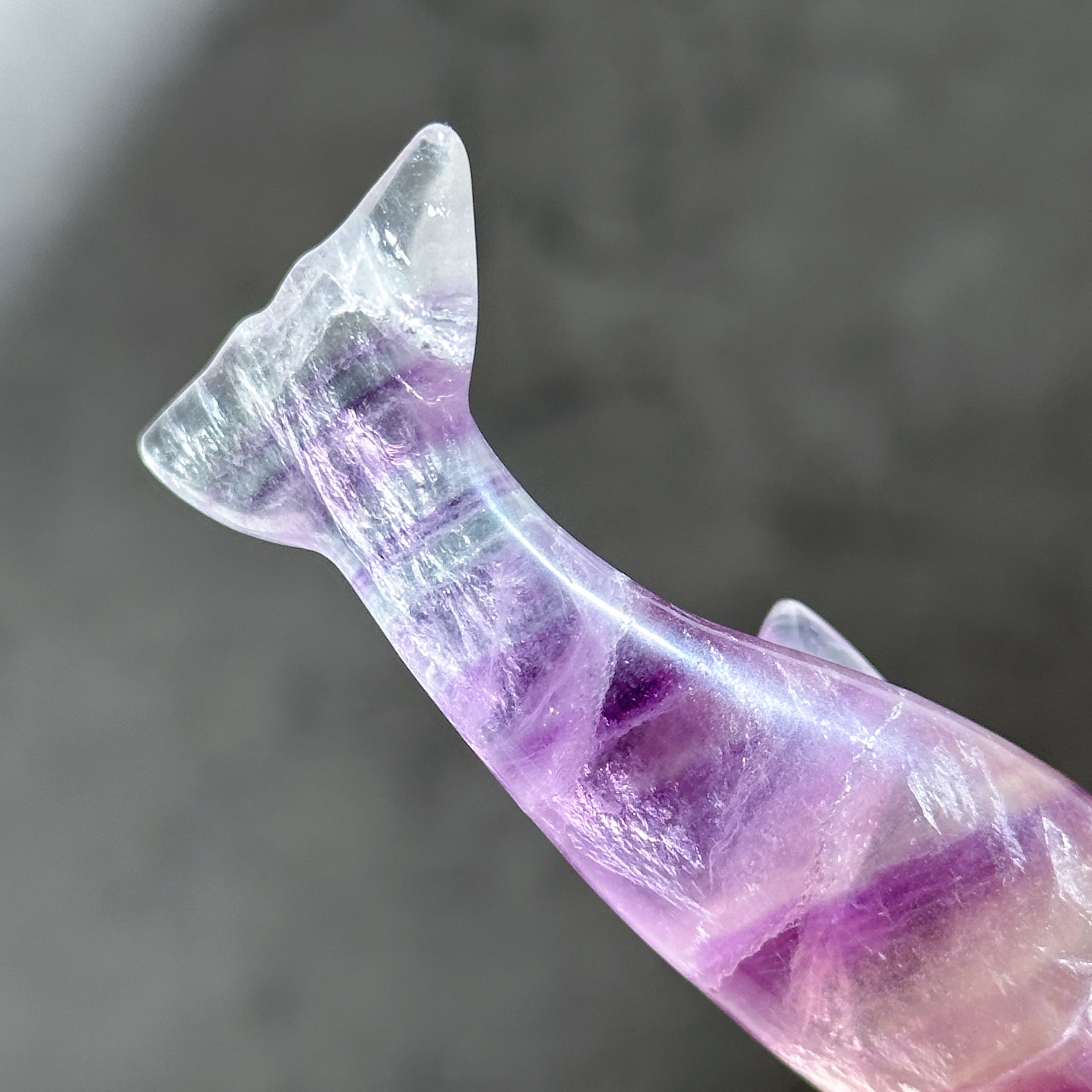 レインボーフローライト イルカ24◇Fluorite◇天然石・パワーストーン