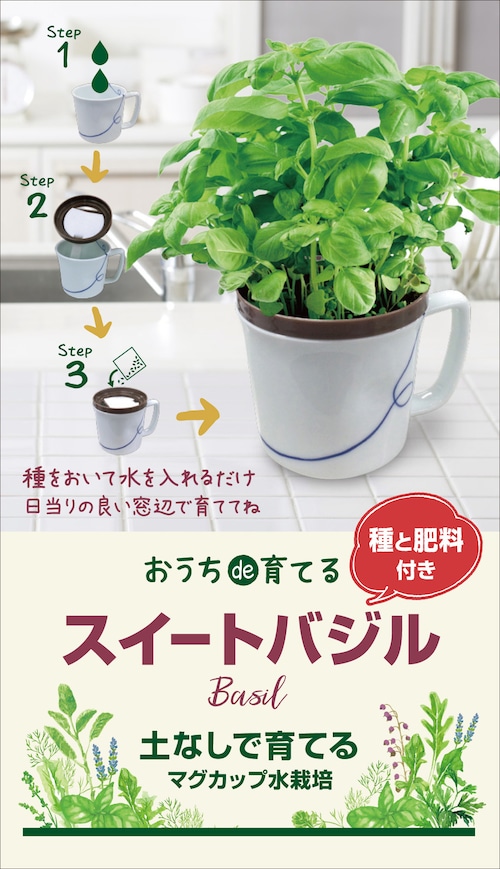 マグカップ水栽培　ハーブ野菜シリーズ「スィートバジル」送料込(種有効期限　2025年2月末）