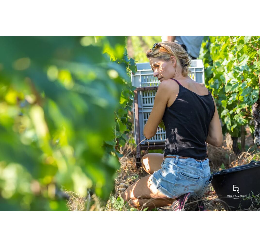 【デリアンス】クレマン・ド・ブルゴーニュ NV