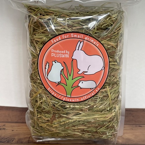 2025年産　セカンドフラッシュ　カナダ産（ドライランドエリア）チモシー　500g