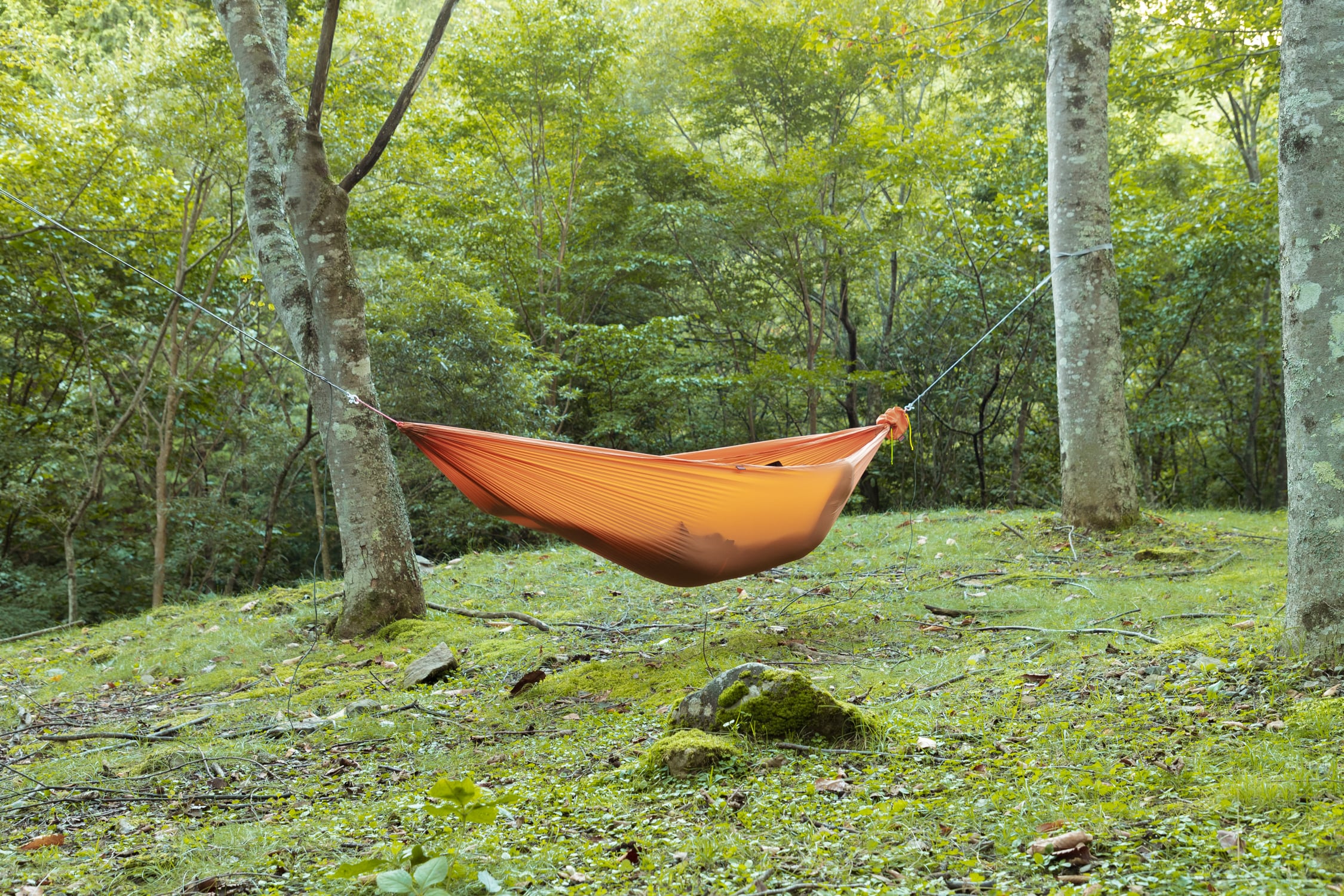 Jindaiji Mountain Works  PB Hammock