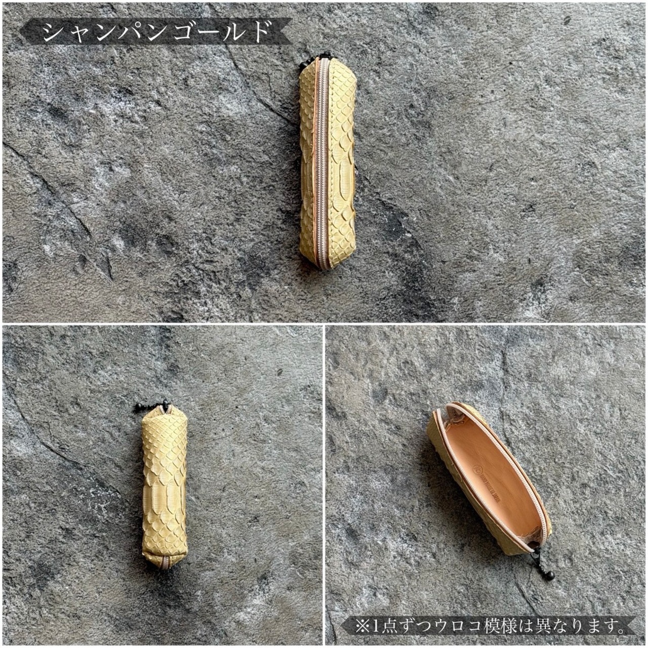 【限定商品】コインケース パセルス マットパイソン