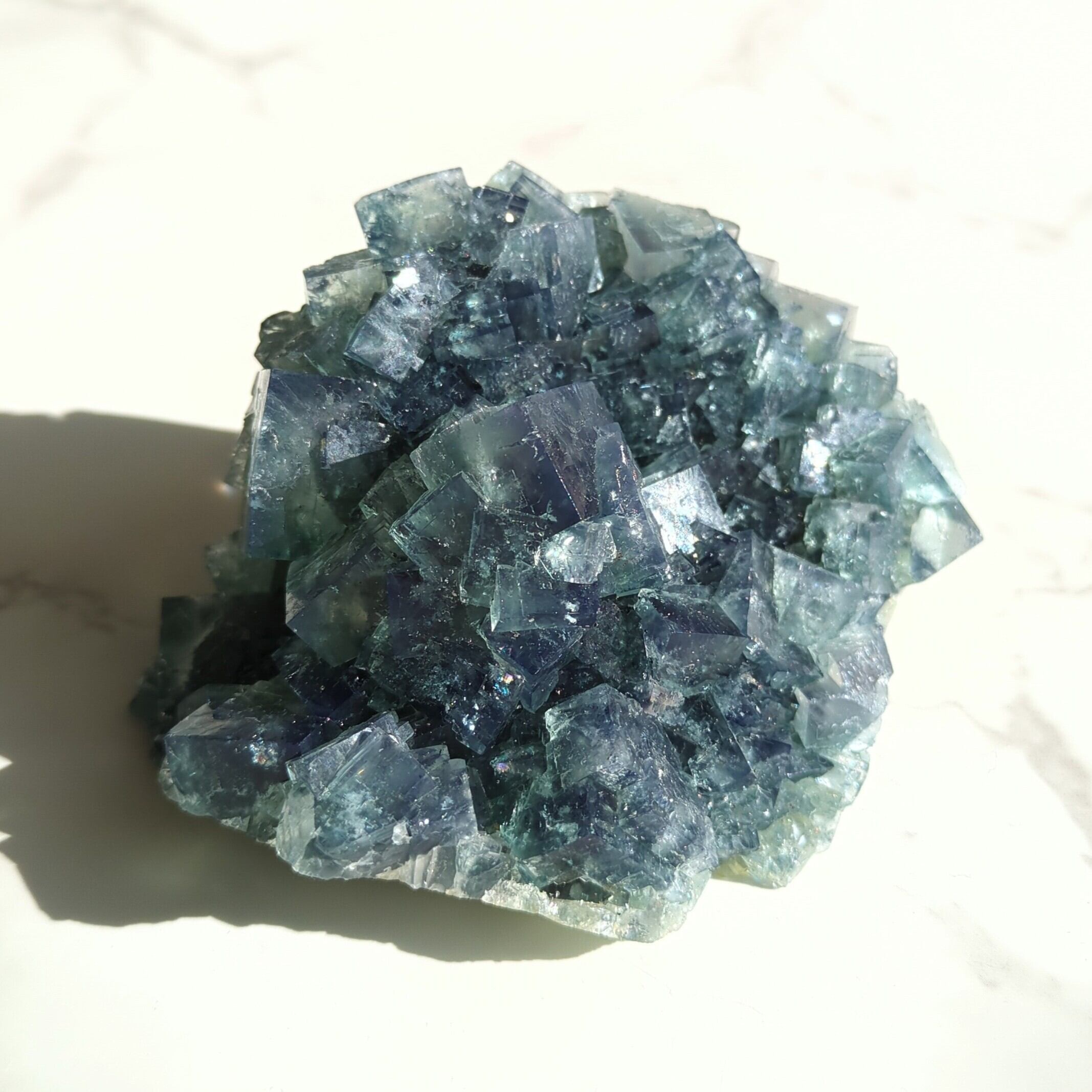 マダガスカル産 異常巻きアンモナイト化石（ノストセラス）母岩付き