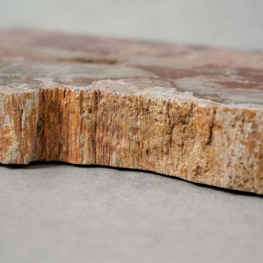ペトリファイドウッド / スライス プレート【1】 | ariife.公式