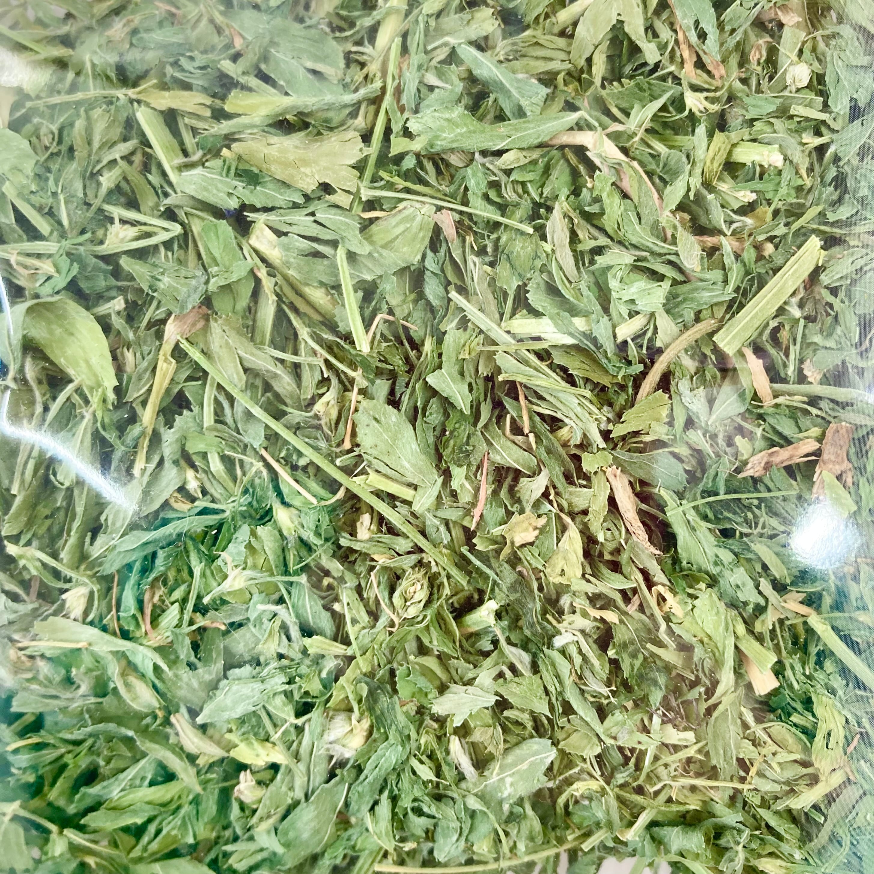 アルファルファリーフ 20g | うさぎ専門店うさぎとわたし京都店 アルファルファリーフ 20g | うさぎ専門店うさぎとわたし京都店
