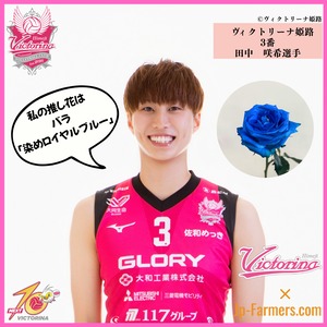 【ヴィクトリーナ姫路応援企画】推し花を贈って応援しよう　田中選手のラブフラワーはバラ　染めロイヤルブルー