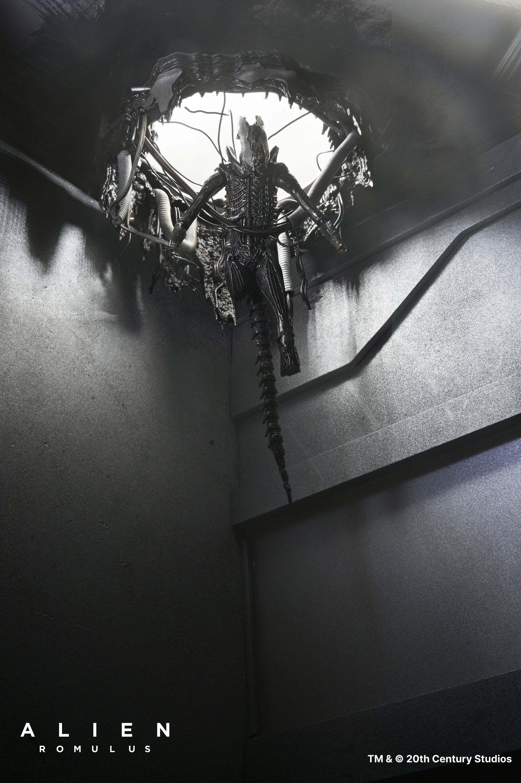 ネカ エイリアン ロムルス ゼノモーフ XX121 サスペンデッド・ラボ DX