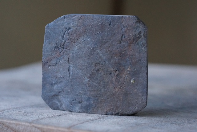 シダ化石 Pecopteris sp.