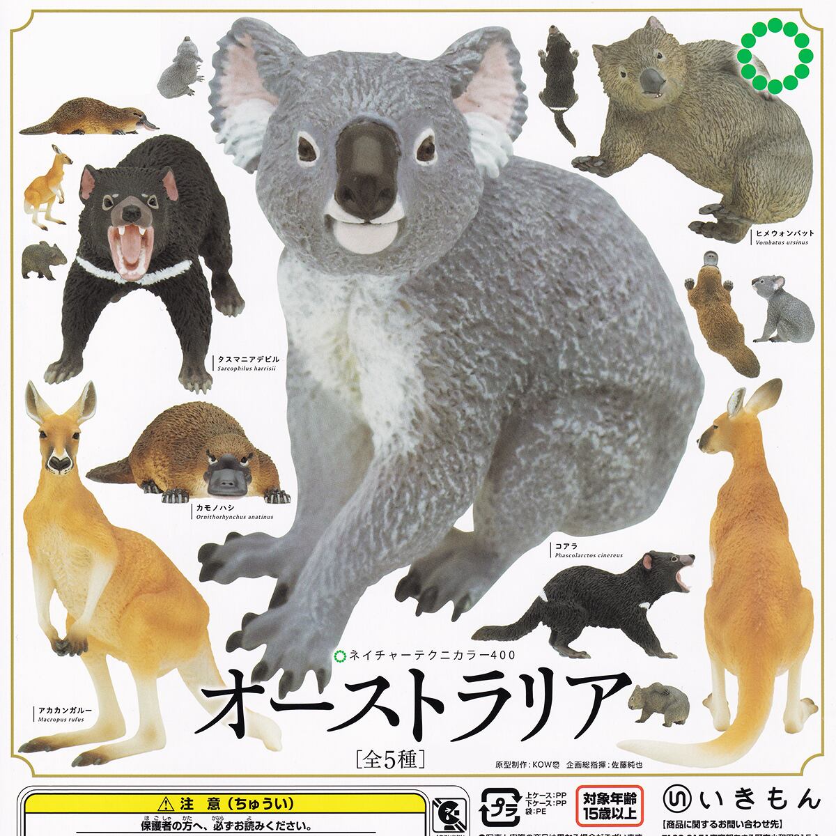 2021年 オーストラリアン・カンガルー ５枚セット 217667