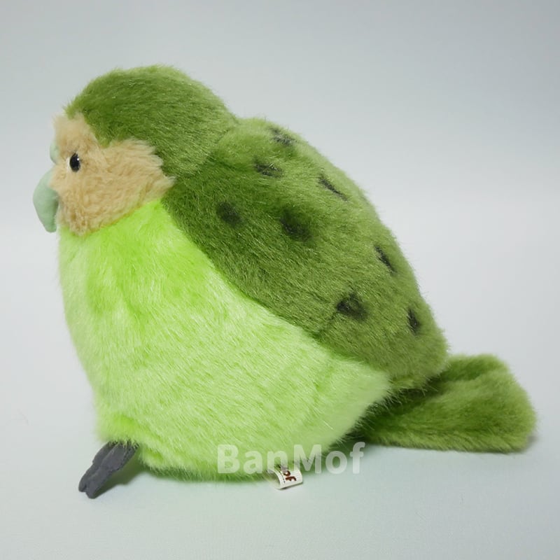 展示】カカポ ぬいぐるみ | BanMof SHOP