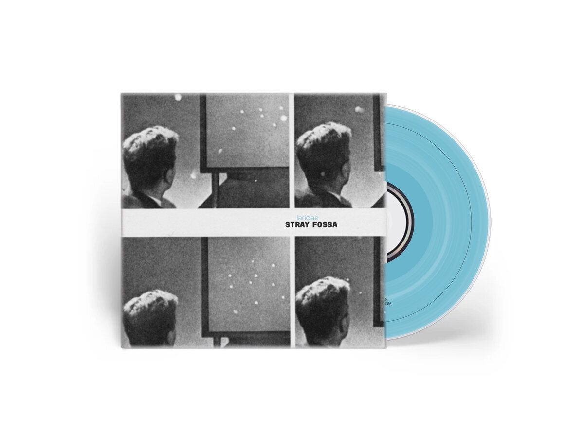 Stray Fossa / Laridae(100 Ltd CD)