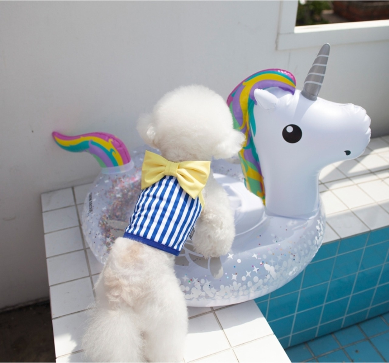 予約【coco chien】Eva Ribbon Swimwear (Crop)