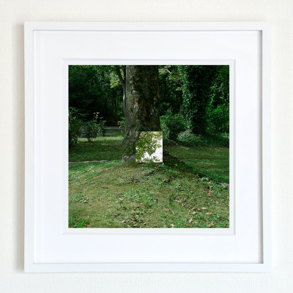 Many perspectives13／写真作品（額装作品） | ヤマダヒデキ ONLINE SHOP