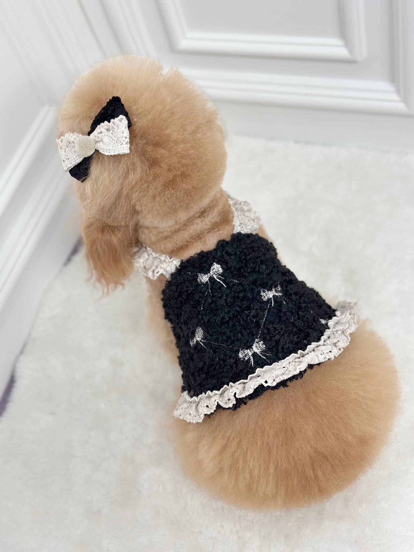 即納販売 lovely ribbon bustier （ivory/black）ラブリーリボン