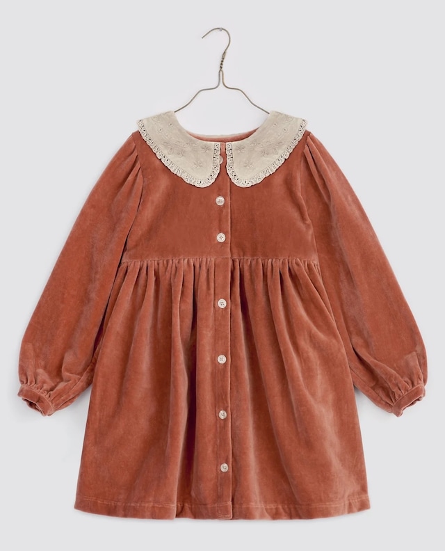 Little cotton clothes/Nina Dress - chutney velvet