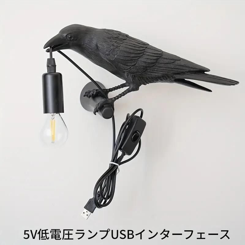 カラス 置物 インテリア 鳥剥製 ジャワハイノドメジロ 固有種の鳥