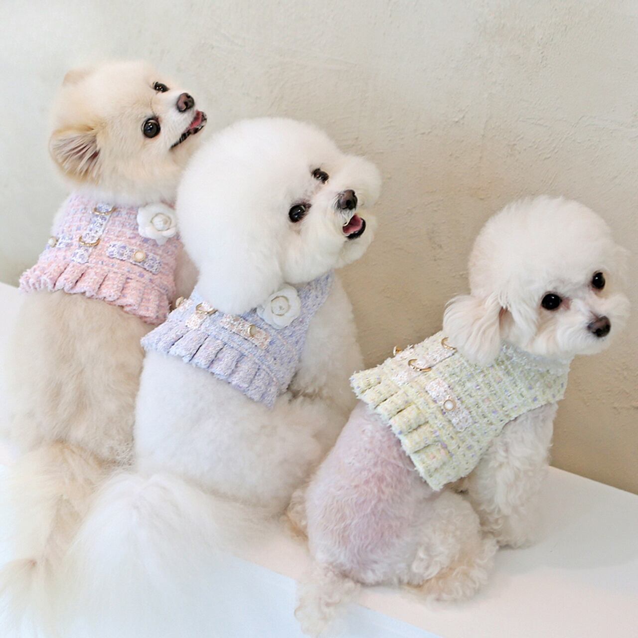 Dog カメリア パステル ツイードトップス 3color Pet38