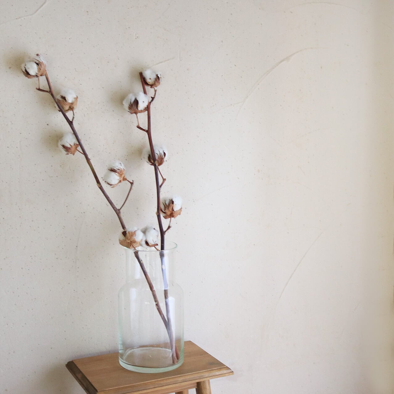 専用＊Winter＊コットン＆ハスの実　シックナチュラルなドライフラワーリース Winter＊3色のコットン ドライフラワーリース リース fu.wa.ran