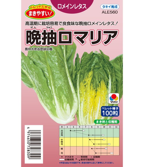 レタス「晩抽ロマリア」（P100粒） 画像