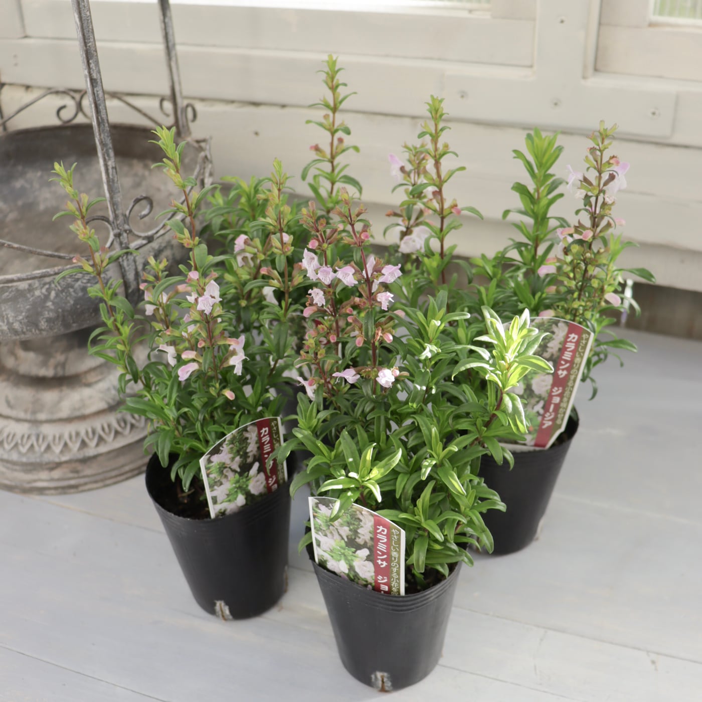 Green heartꕥオンラインショップ