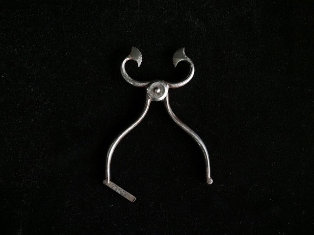 Sugar Cutters
