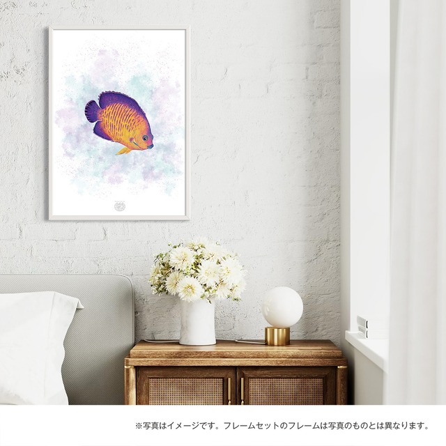 【海のいきものアートポスター／魚】ルリヤッコ