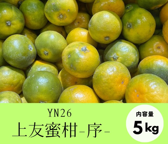 上友蜜柑－序－【YN26・5kg】