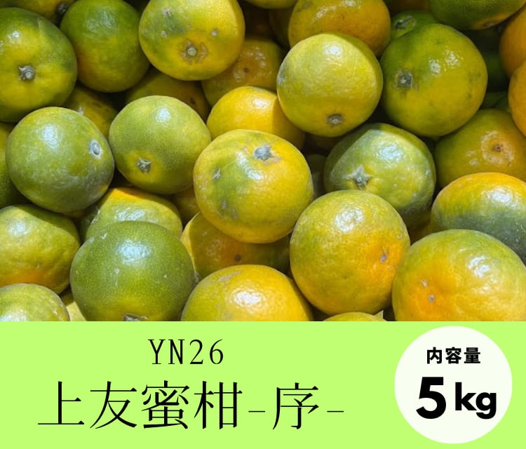上友蜜柑-序-【YN26・5kg】