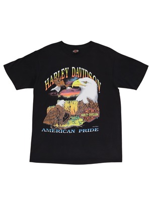 Harley-Davidson eagle L