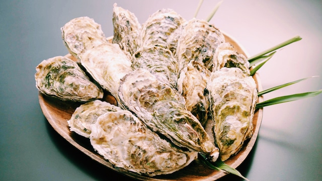 穴水産　牡蠣のオイル漬け／スモールサイズ