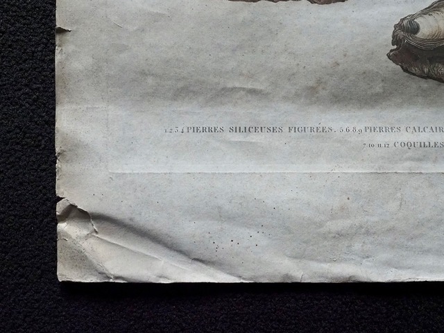 Description de l’Egypte エジプト誌　博物篇 鉱物 Ⅱ