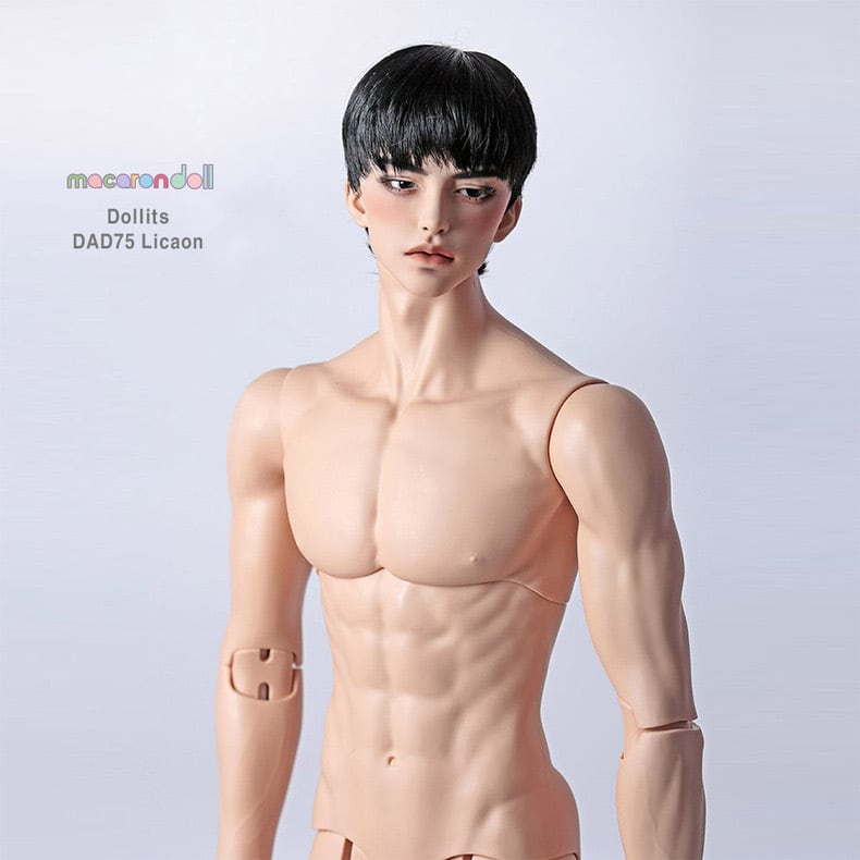 お買得!】 SOOM ボディ ノーマル ドール 75cm BODY 75 IDEALIAN