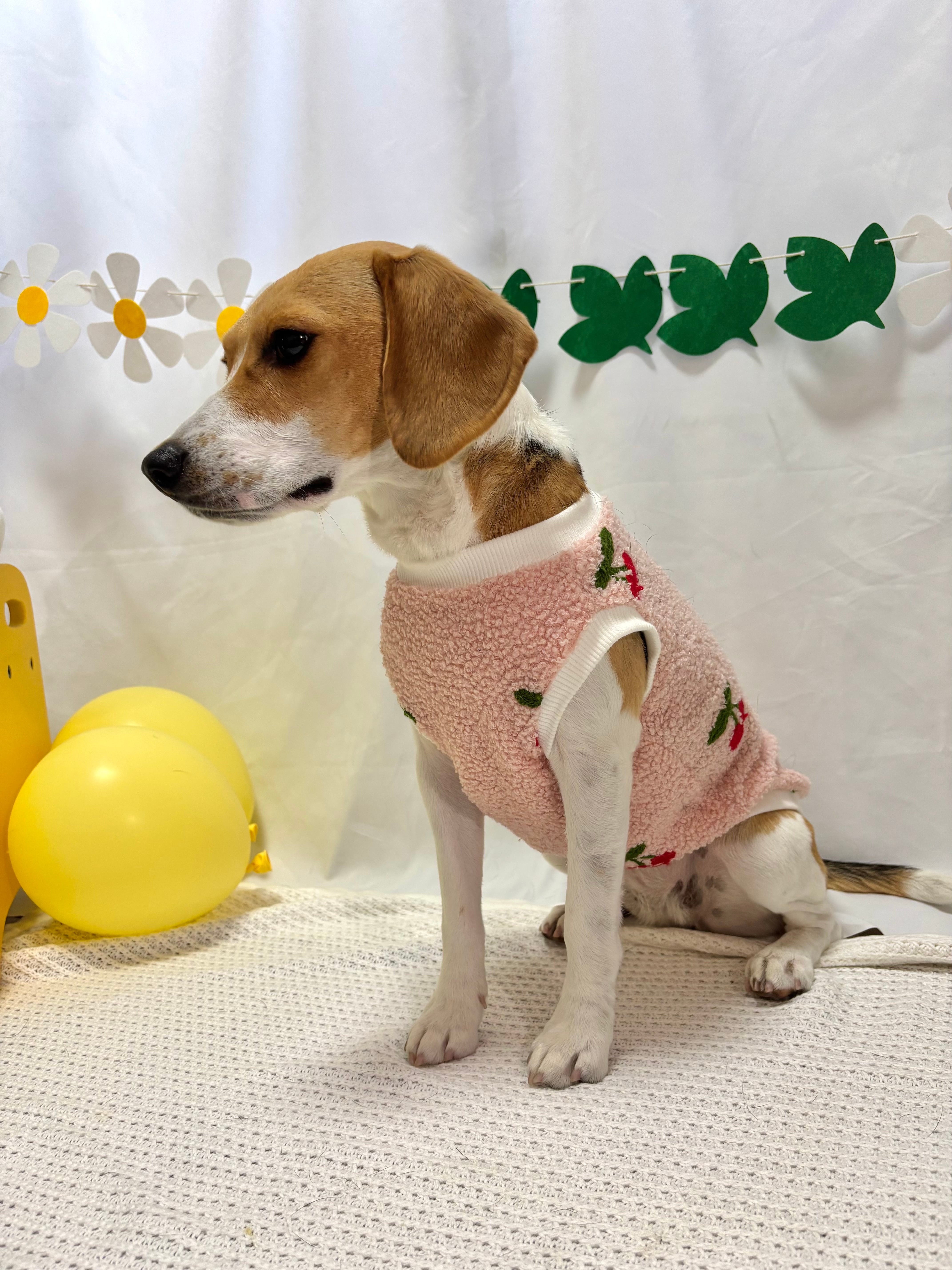 ピンクさくらんぼボアトップス