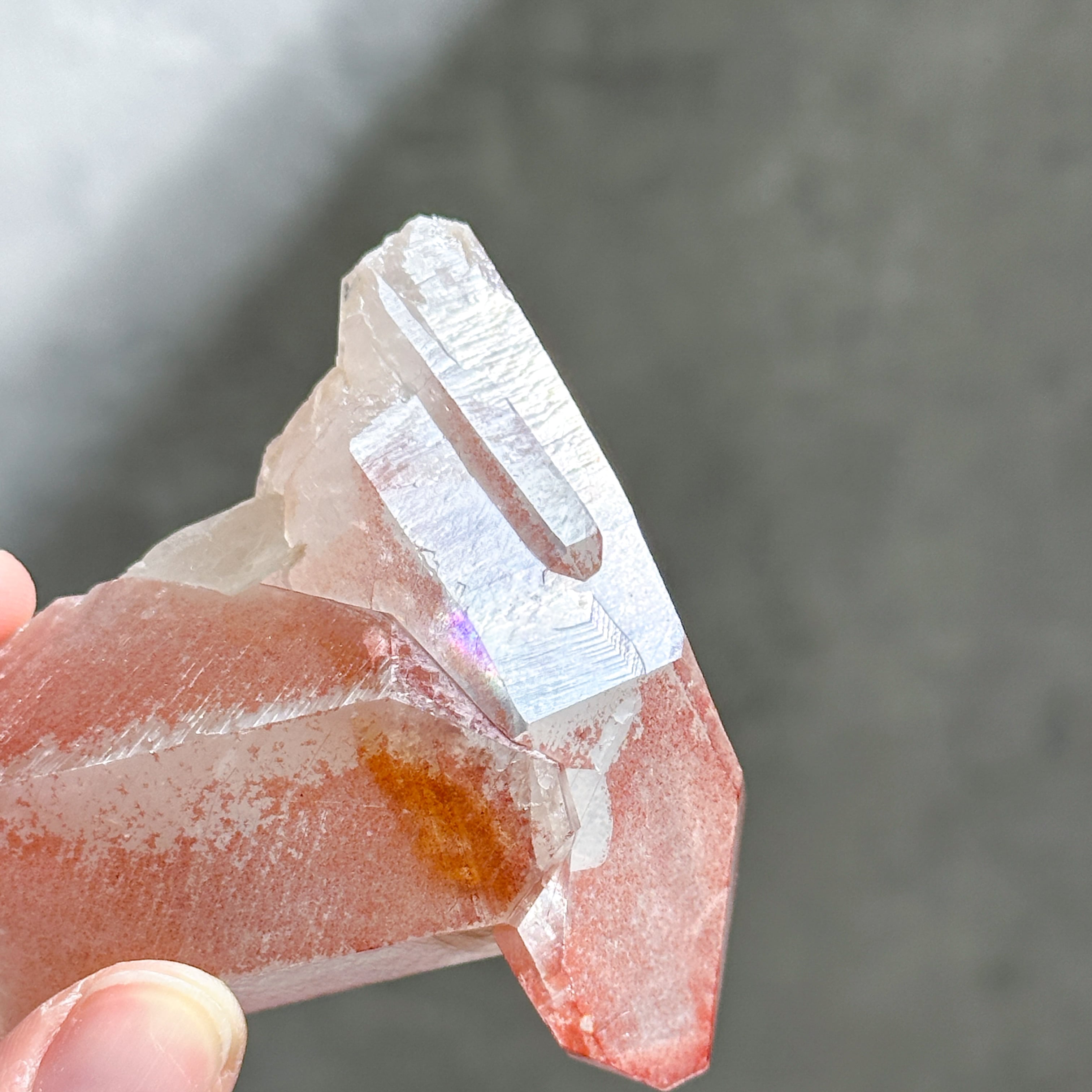 ディアマンティーナ産ピンクレムリアン クラスター 32◇ Pink Lemurian