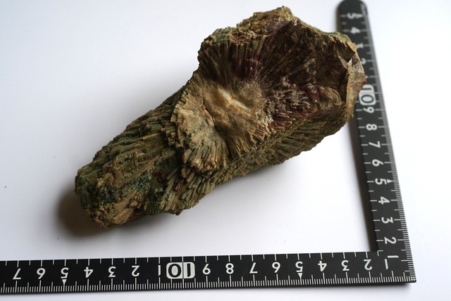 菊花石　Chrysanthemum Stone　B